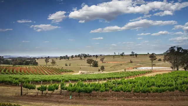 NSW Land Valuers