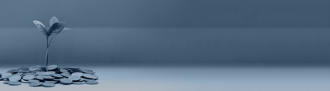 Expert Witness Property Valuation
